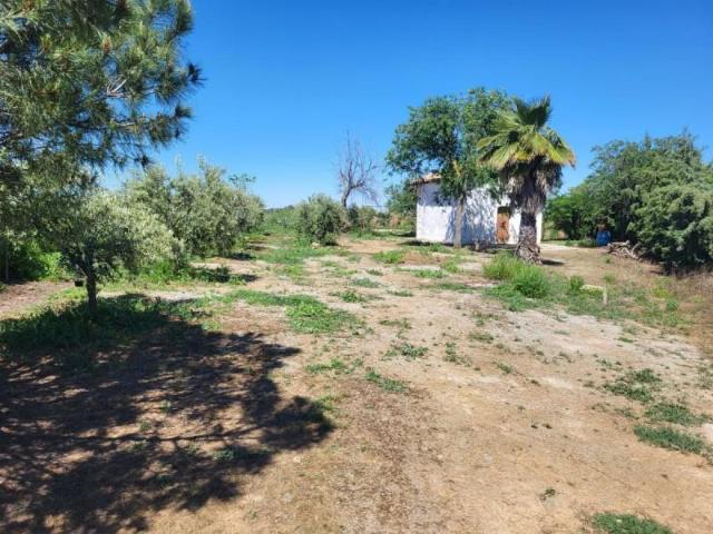 Chalet en venta en Granja De Torrehermosa, Extremadura