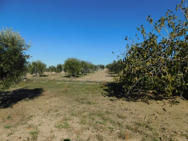 Chalet en venta en La Haba, Extremadura