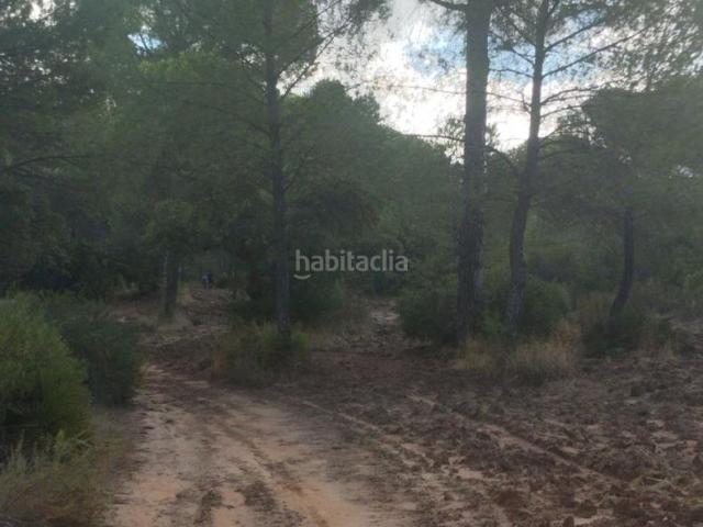 Casa en venta en El Condado, Andalucía