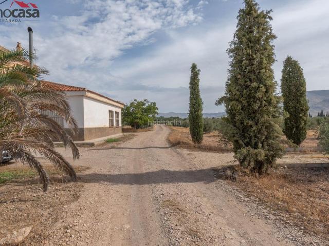 Chalet en venta en Comarca de Huéscar, Andalucía