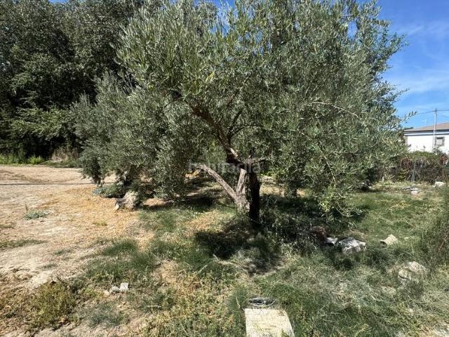 Chalet en venta en San Bartolomé, Jaén