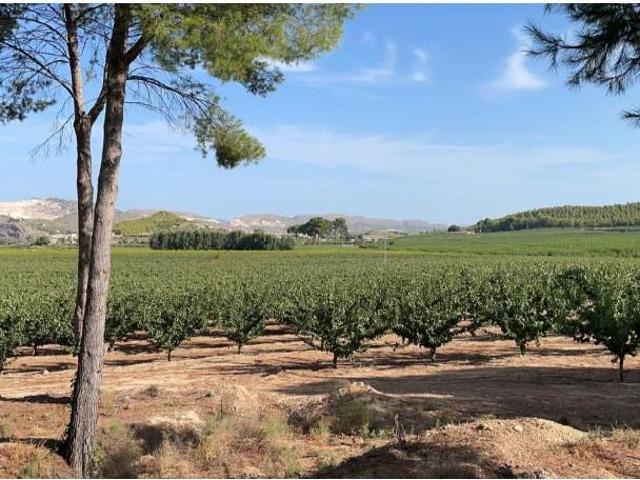 Villa en alquiler en Jumilla