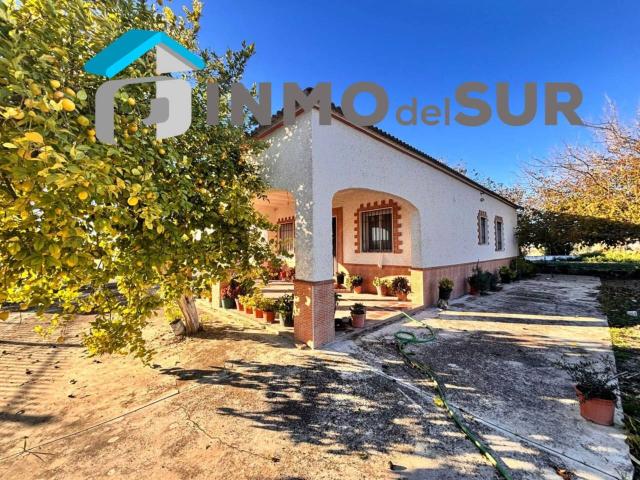 Chalet en venta en Cabra, Andalucía