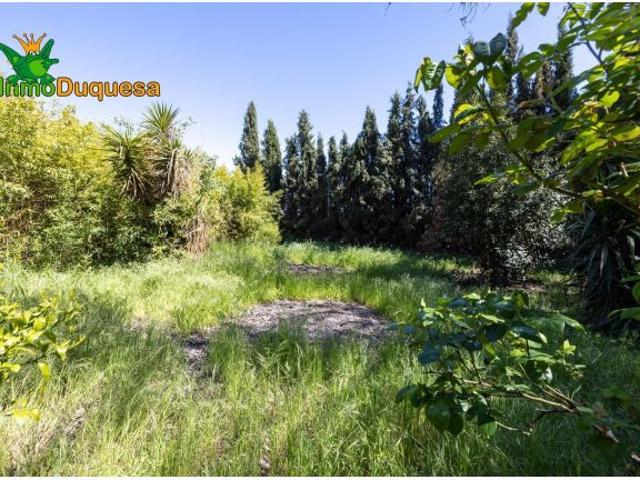 Casa en venta en Ronda, Comarca de la Vega de Granada