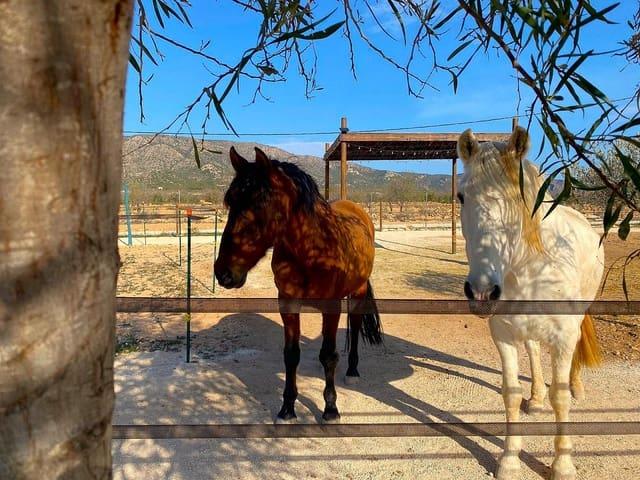Chalet en venta en Lel, el Vinalopó Mitjà / El Vinalopó Medio
