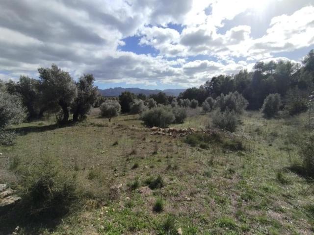 Chalet en venta en Matarraña / Matarranya, Lledó