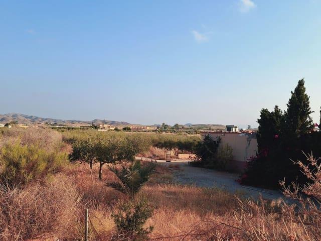 Chalet en venta en Los Gallardos, Andalucía