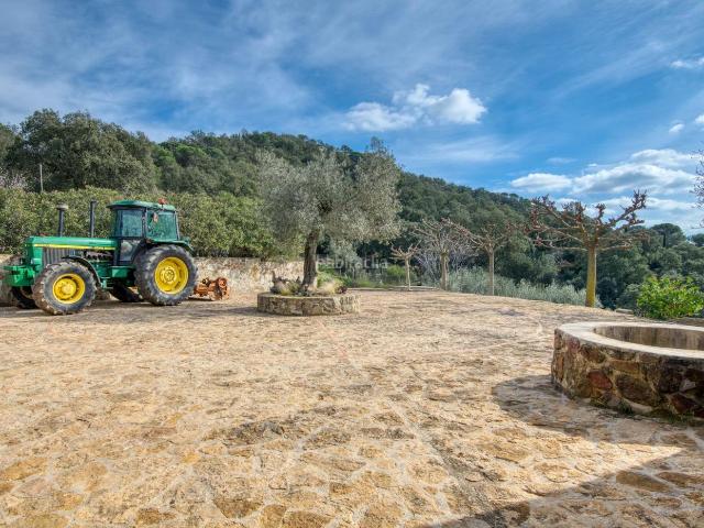 Villa en venta en Madremanya