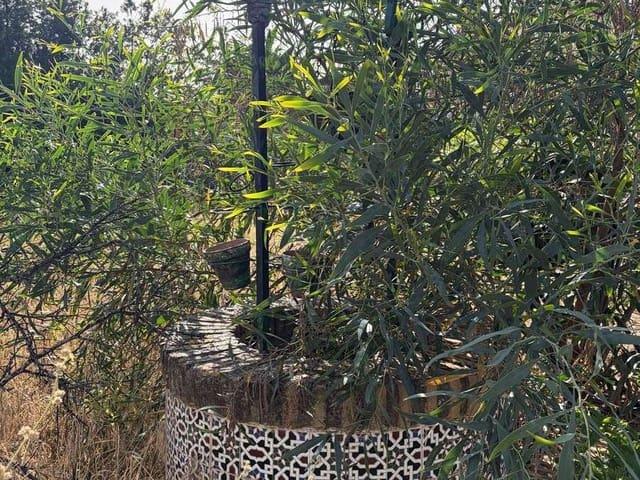Chalet en venta en Mairena Del Alcor, Andalucía