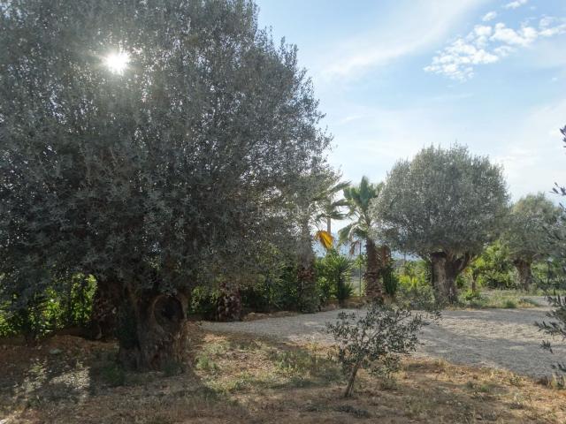 Chalet en venta en Montsià, Catalunya