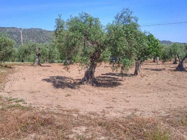 Chalet en venta en Montánchez, Extremadura