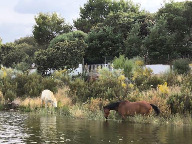 Chalet en venta en Navalvillar De Pela, Extremadura