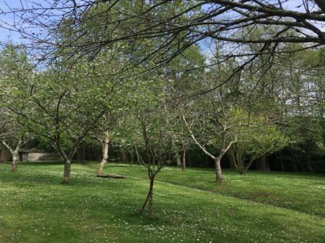 Casa en venta en Navia, Asturias