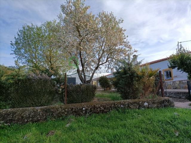 Chalet en venta en Avenida de la Quinta de San Juan, Llanos de Olivenza