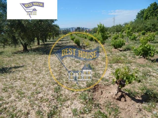Chalet en venta en la Vall d'Albaida, Valencia