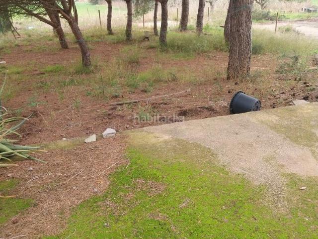 Chalet en venta en Palau, Palau De Santa Eulàlia