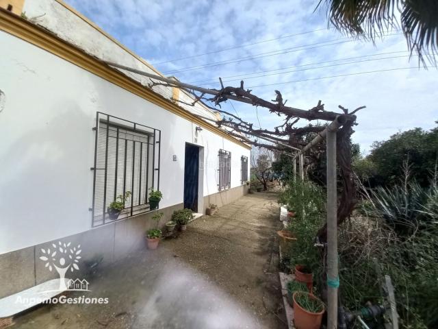 Chalet en venta en Palma Del Río, Andalucía