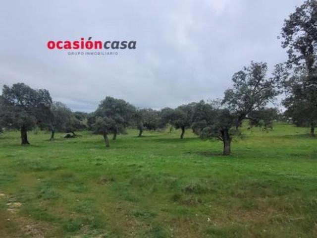 Chalet en venta en Pedroche, Andalucía