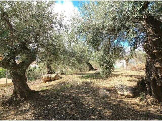 Casa en venta en La Axarquía, Andalucía
