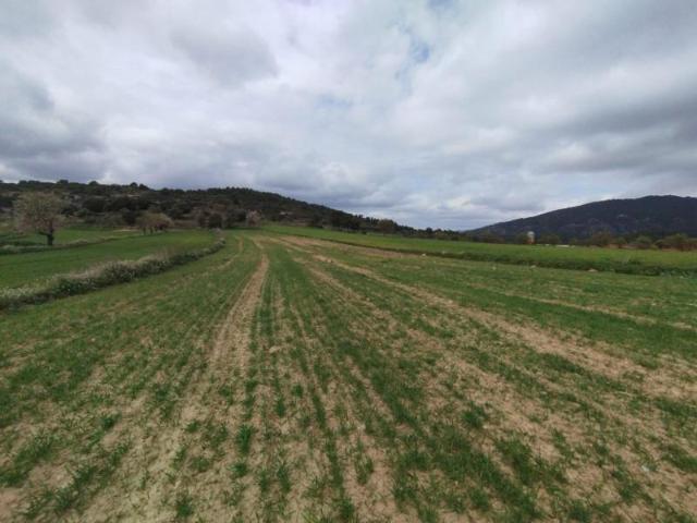 Chalet en venta en Matarraña / Matarranya, Peñarroya De Tastavins