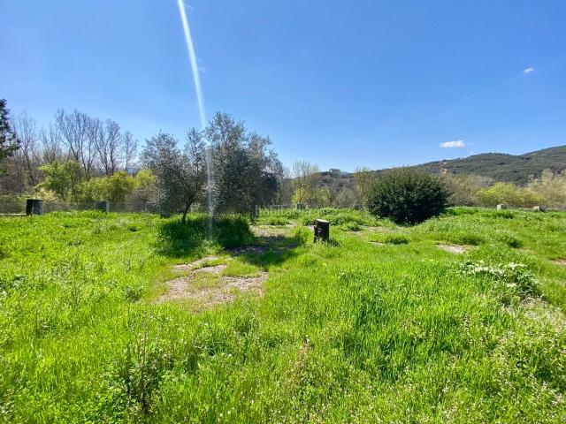 Chalet en venta en Piedrabuena, Castilla-La Mancha