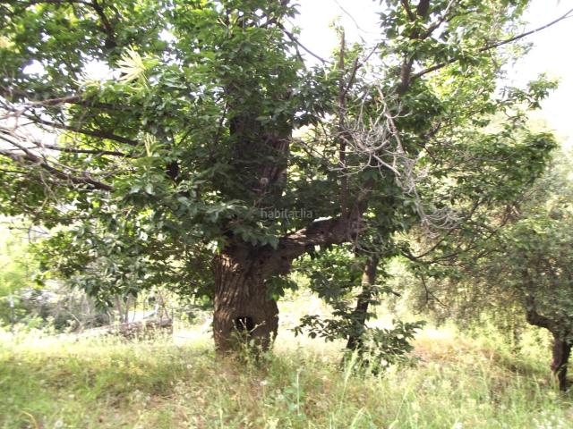 Villa en venta en Pinos Genil