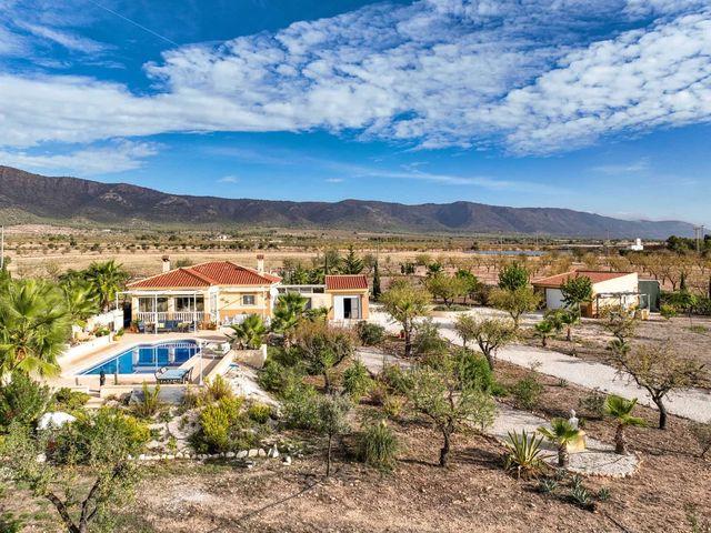Chalet en venta en el Pinós / Pinoso, Alacant / Alicante