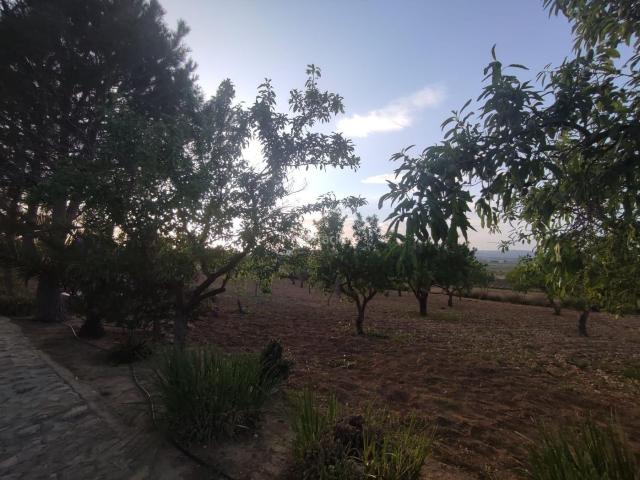 Chalet en venta en Cañada de la Leña, Oriental