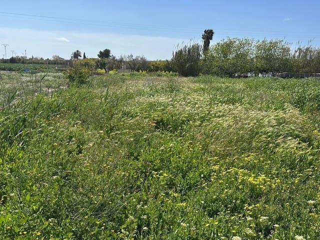 Chalet en venta en el Baix Segura / La Vega Baja, Valencia