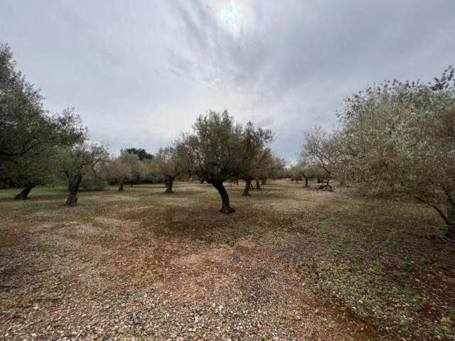 Chalet en venta en Montsià, Catalunya