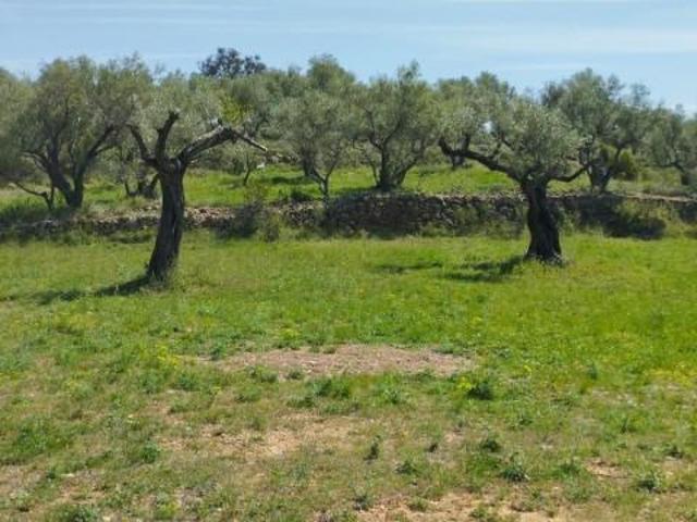 Chalet en venta en el Baix Maestrat, Valencia