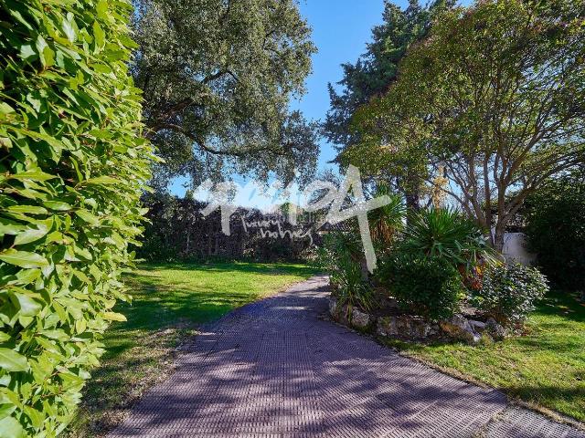 Chalet en venta en Rozas De Puerto Real, Madrid