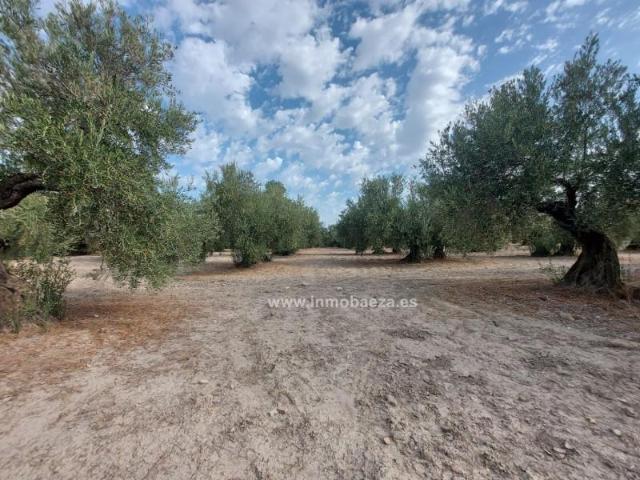 Chalet en venta en Rus, Andalucía