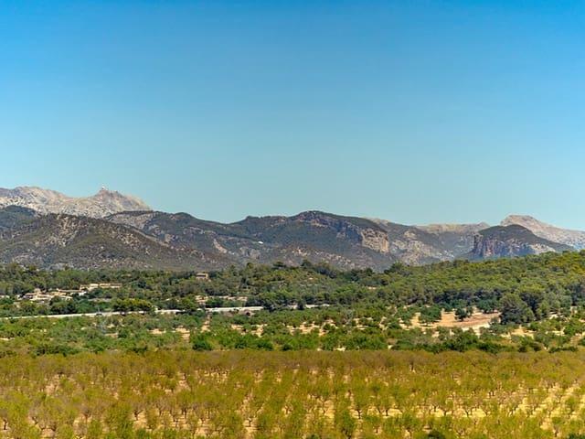 Chalet en venta en sa Cabaneta, Raiguer