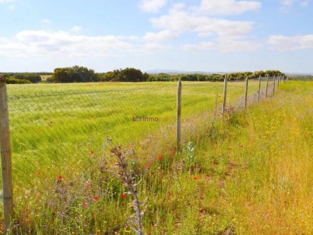 Chalet en venta en San Carlos Del Valle, Castilla-La Mancha