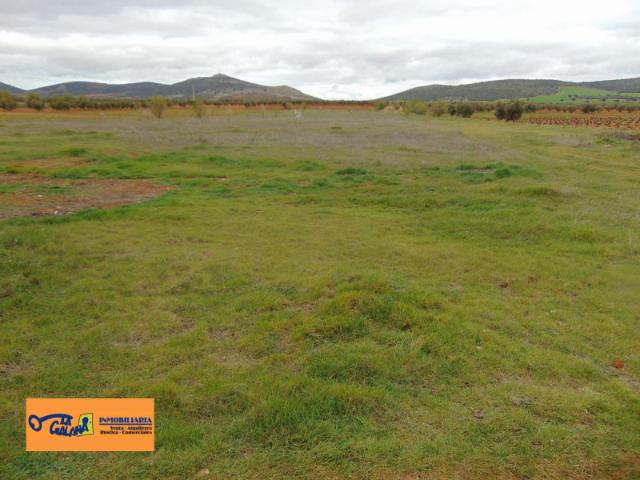 Chalet en venta en San Carlos Del Valle, Castilla-La Mancha