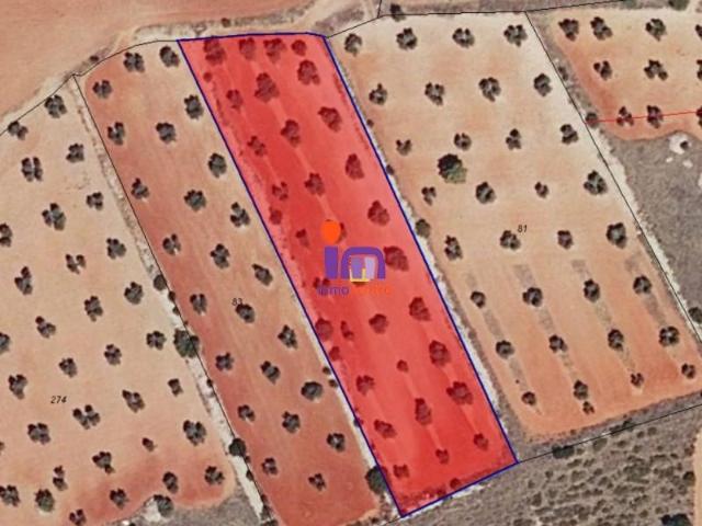 Chalet en venta en San Carlos Del Valle, Castilla-La Mancha
