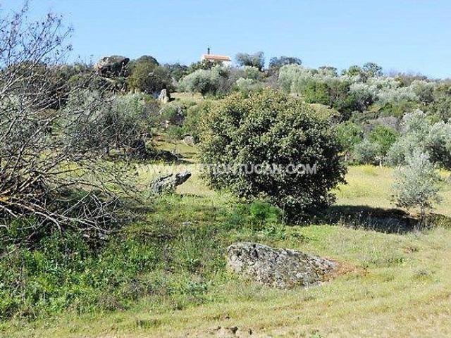 Chalet en venta en San Martín De Pusa, Castilla-La Mancha