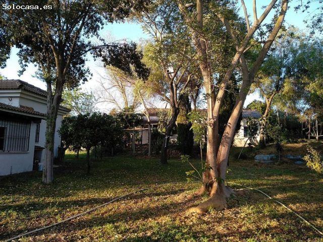 Casa en venta en Sanlúcar La Mayor, Andalucía