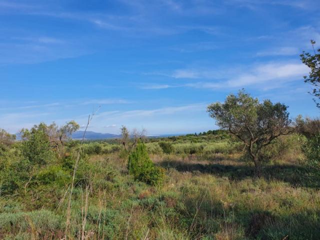 Chalet en venta en Dones de la Mar, el Baix Maestrat