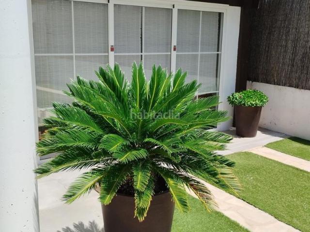 Chalet en venta en Casco Antiguo, Sevilla