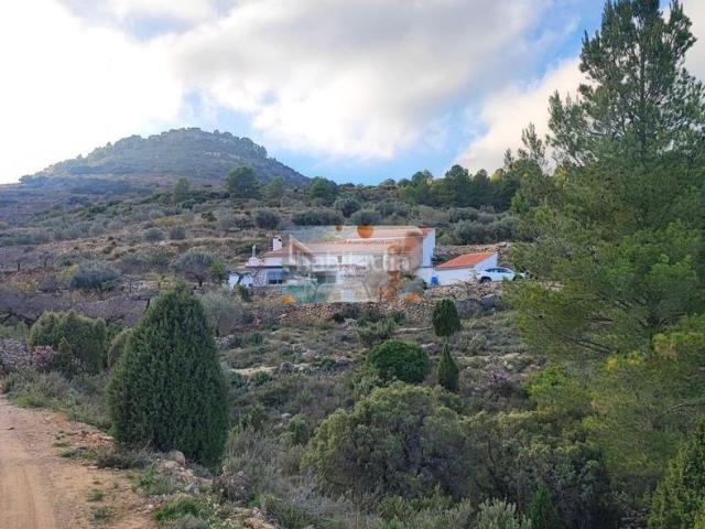 Chalet en venta en la Plana Alta, Valencia
