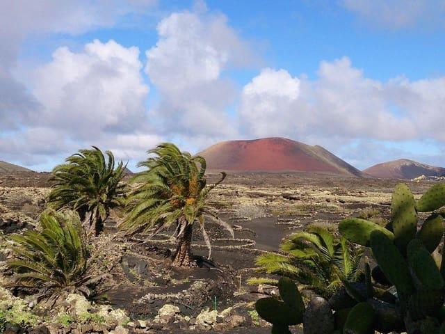 Chalet en venta en Tías, Canarias