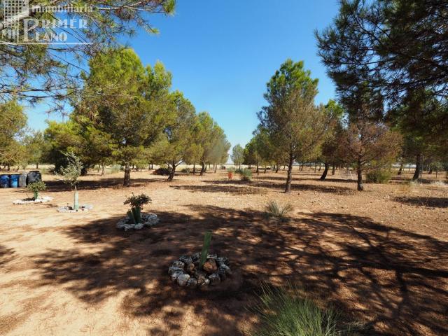 Chalet en venta en Tomelloso, Castilla-La Mancha