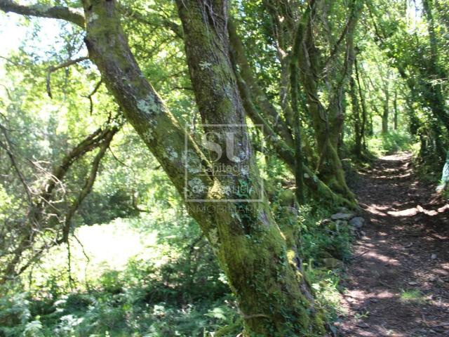 Chalet en venta en Tomiño, O Baixo Miño