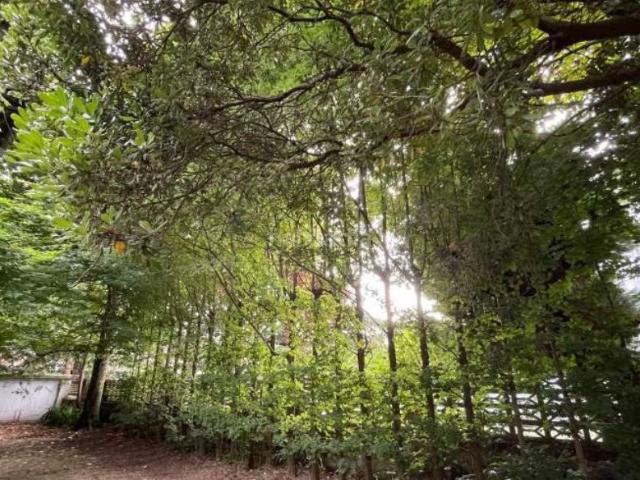 Chalet en venta en Sierrapando, Torrelavega