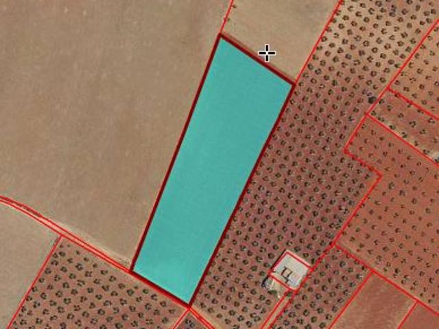 Chalet en venta en Torrenueva, Castilla-La Mancha