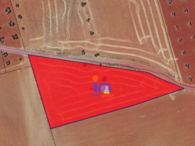 Chalet en venta en Torrenueva, Castilla-La Mancha