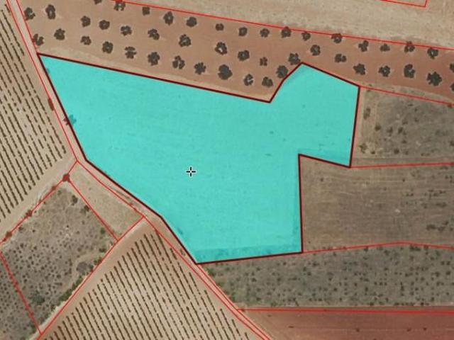 Chalet en venta en Torrenueva, Castilla-La Mancha