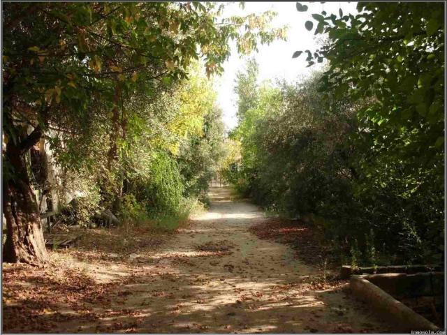 Chalet en venta en Torreperogil, Andalucía